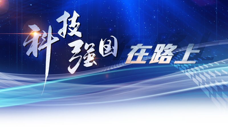 SaaS云服务系统分类解析：揭秘企业上云的多元选择
